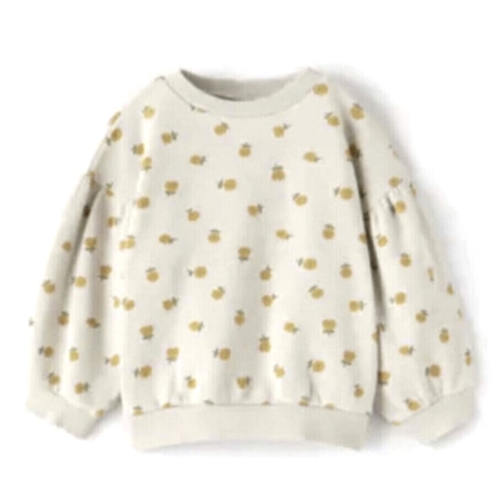 Zara Girls Floral Pullover